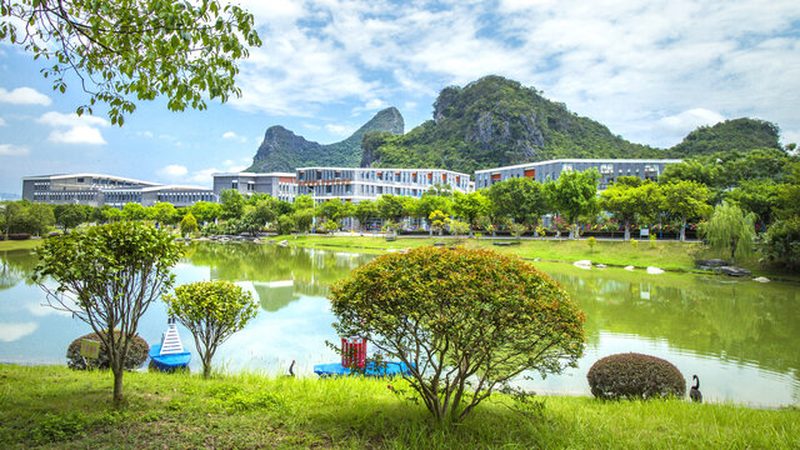 国内芯片厂家排名前十：揭秘我国芯片产业的崛起之路