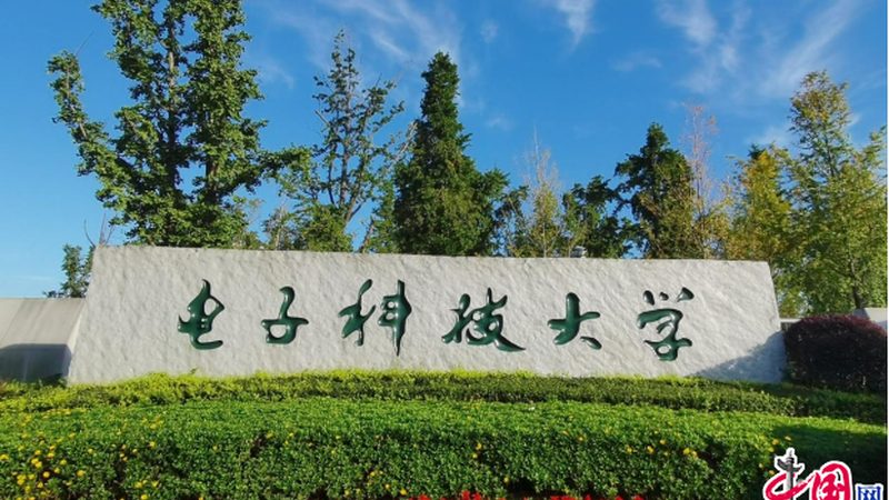 电子代工流程揭秘：关键步骤与注意事项**